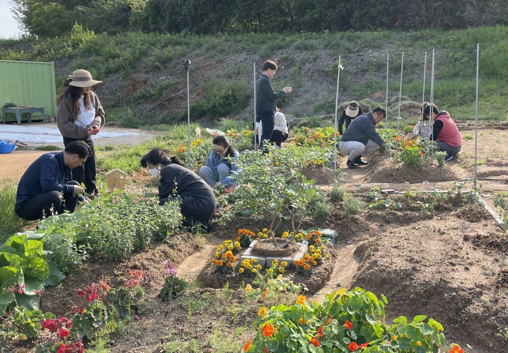 광주시, 도시농업 전문인력 키운다