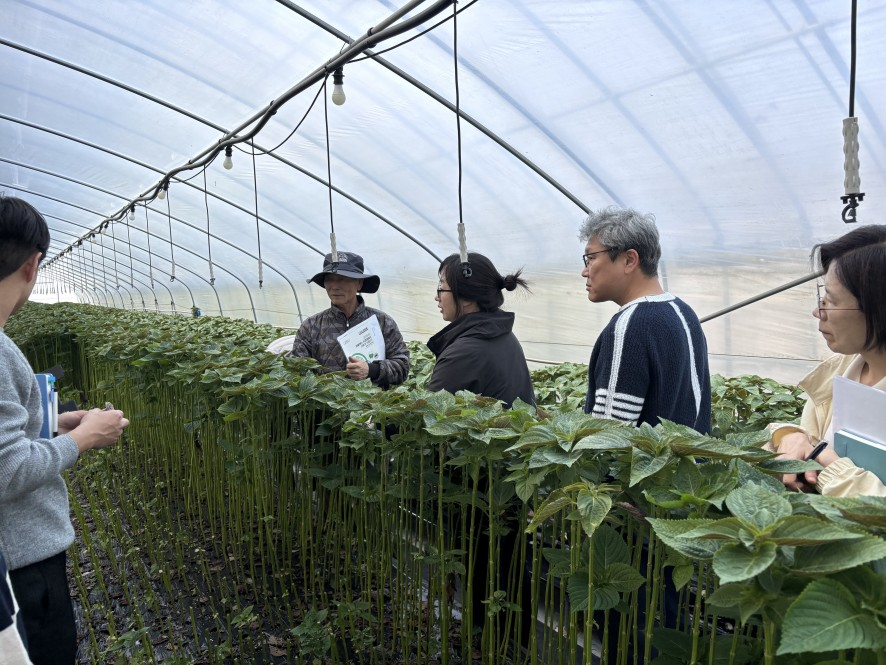 진안군, 수경재배 잎들깨 고품질 생산 현장컨설팅 추진