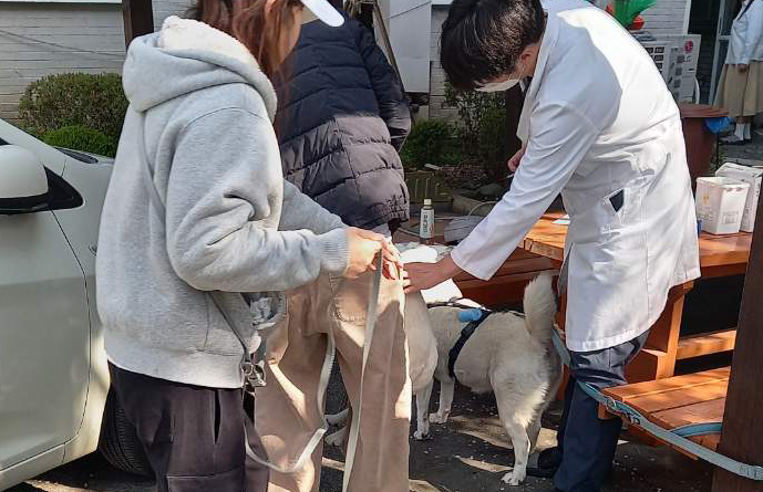 과천시, 광견병 예방접종 지원사업 실시