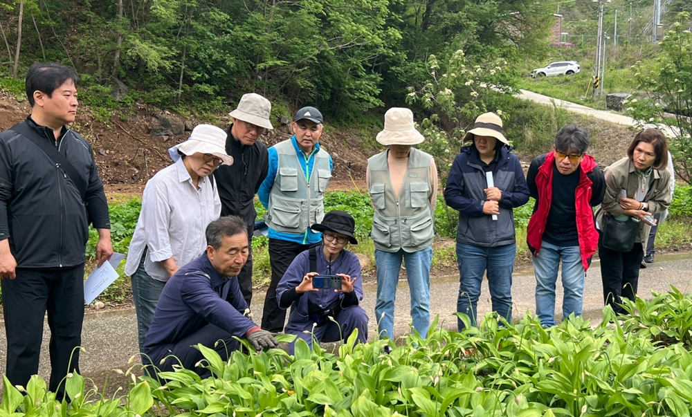 인제군, ‘논스톱 귀농형 살아보기’ 참여자 모집!