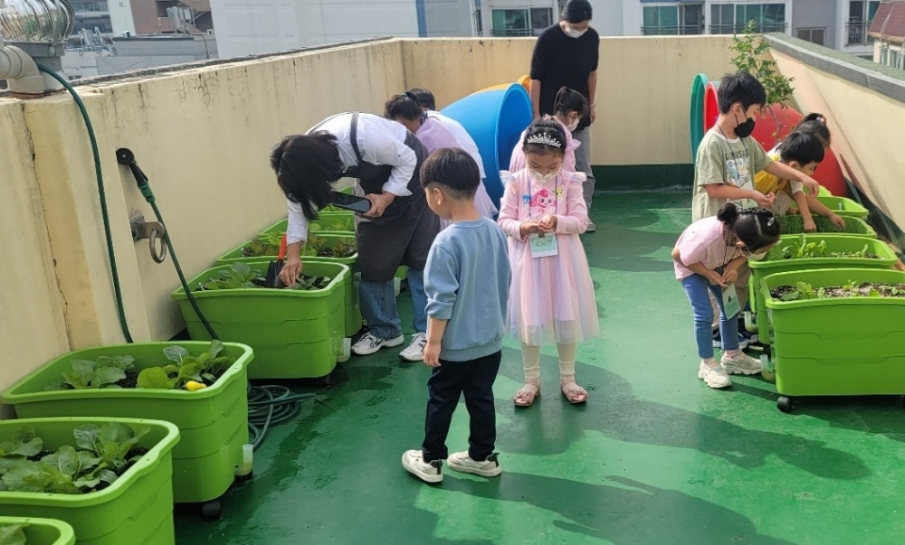 집에서도 텃밭 가꾼다... 금천구, 상자텃밭 830세트 보급