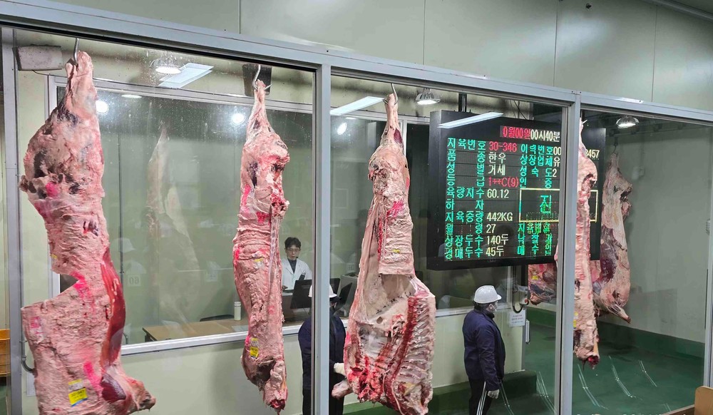 홍성한우, 홍콩 수출 본격화...글로벌 시장 공략 나선다