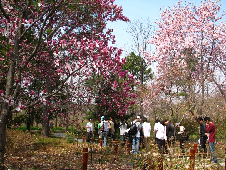 포항 기청산식물원, ‘꼭 가봐야 할 수목원 10선’ 3년 연속 선정 쾌거
