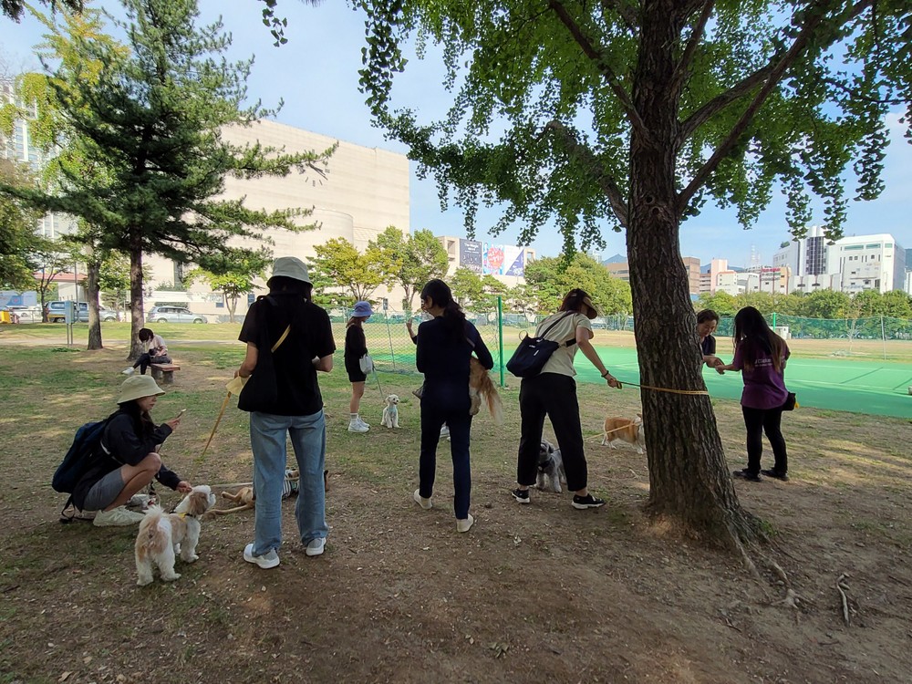 과천시, 취약가구 반려동물 의료·돌봄 지원…최대 32만 원