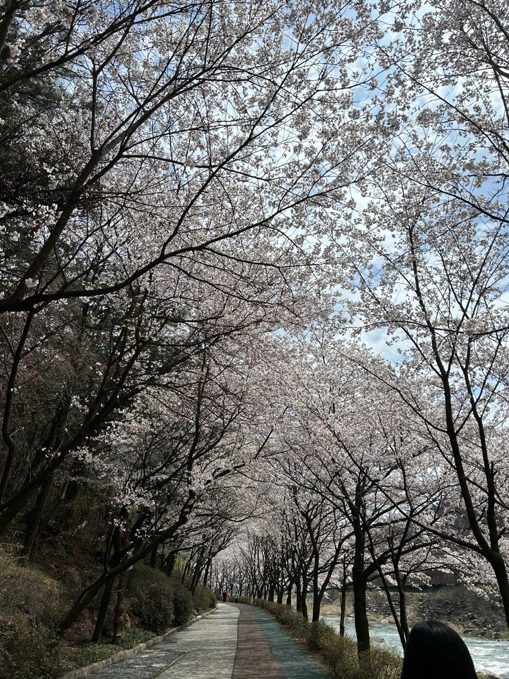 거창군, ‘일상 속 정신건강, 걸어서 마음 속으로’ 체험행사 운영