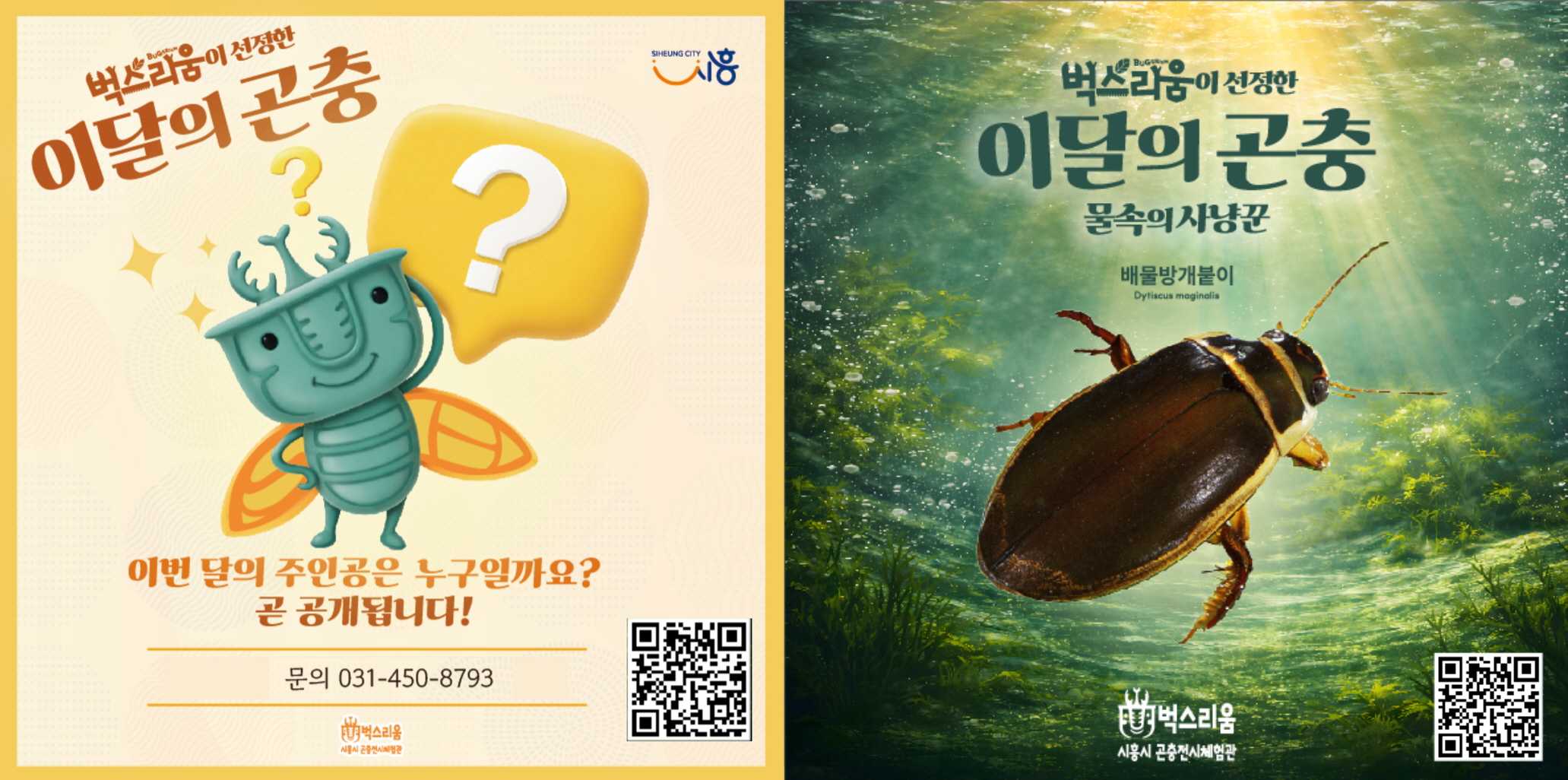 곤충전시체험관 벅스리움, 5일부터 신규 전시‘이달의 곤충’ 운영… 매달 새롭게 만나는 다양한 곤충친구들 매력 속으로