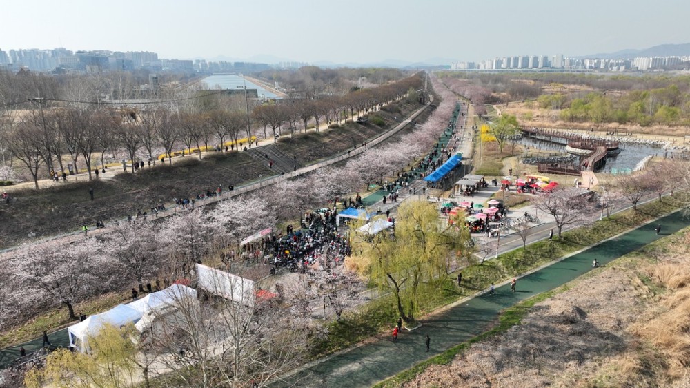 벚꽃 아래 펼쳐지는 축제 한마당, ‘2026 하남 봄봄 문화축제’ 4일 개막