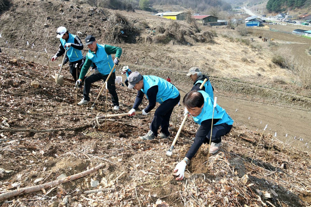 괴산군 제81회 식목일 기념 나무심기 행사 개최