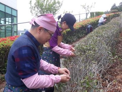 기장군, 전통 차(茶) 문화 잇는‘기장 차 문화학교’운영