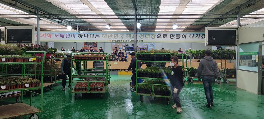 음성화훼유통센터 누적 경매 실적 2000억원 달성