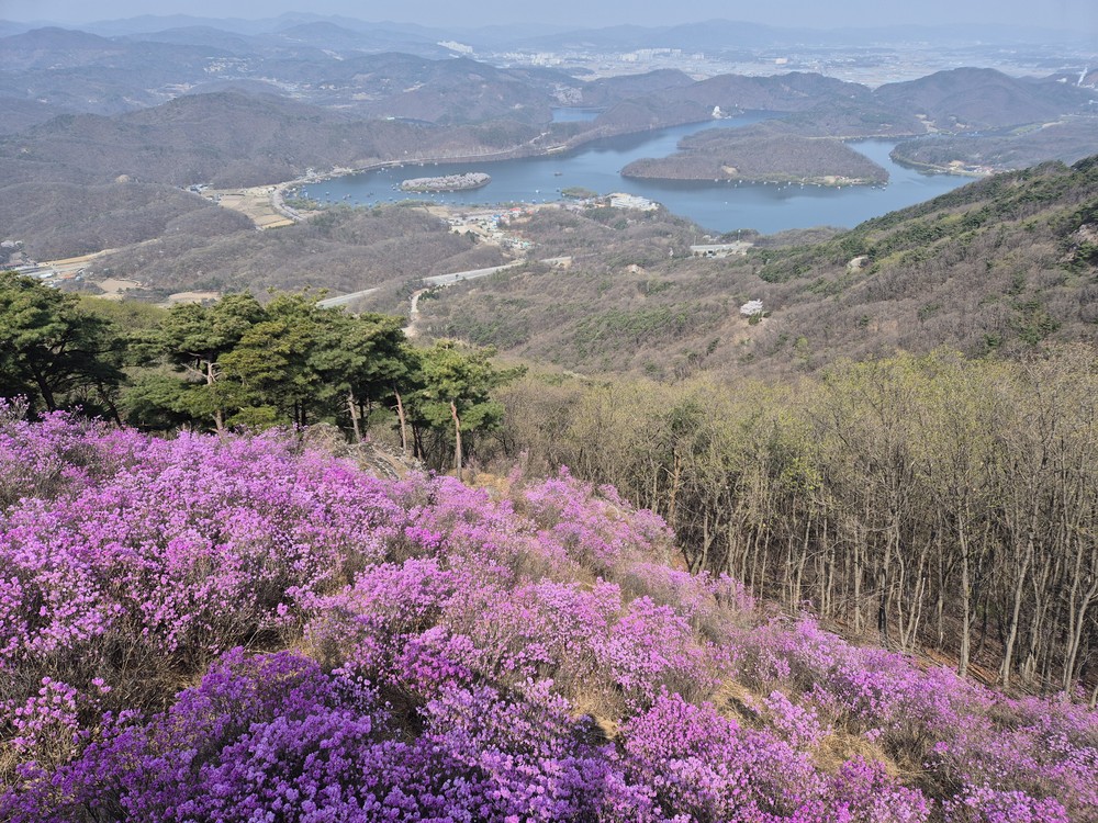 진천군, 두타산 삼형제봉 등산로 정비