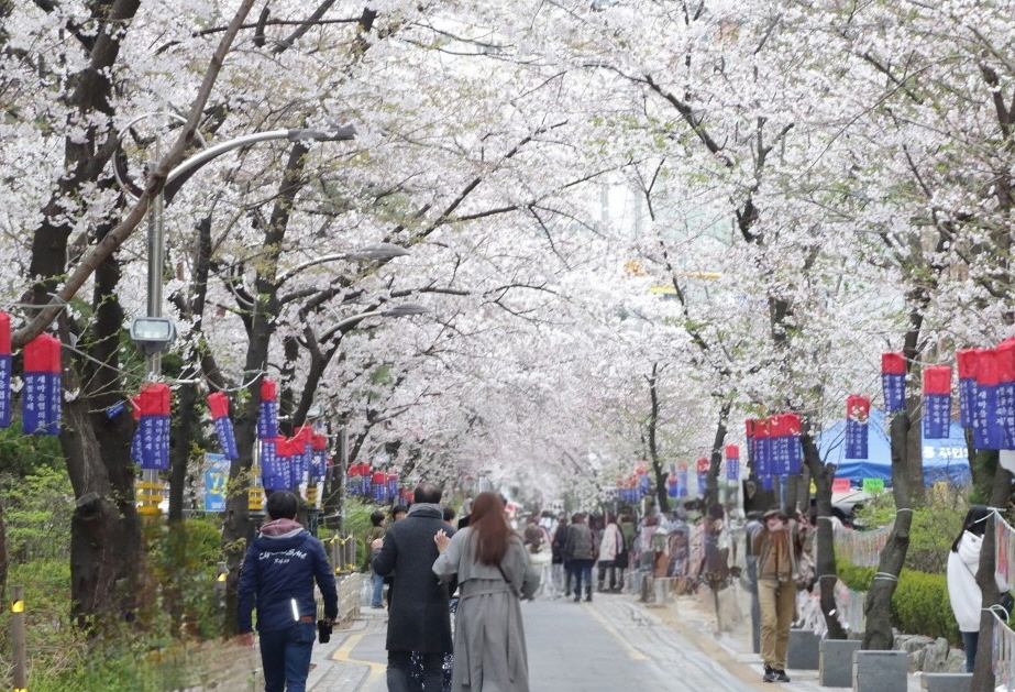 영등포구, ‘우리 동네 봄꽃 축제’ 연다