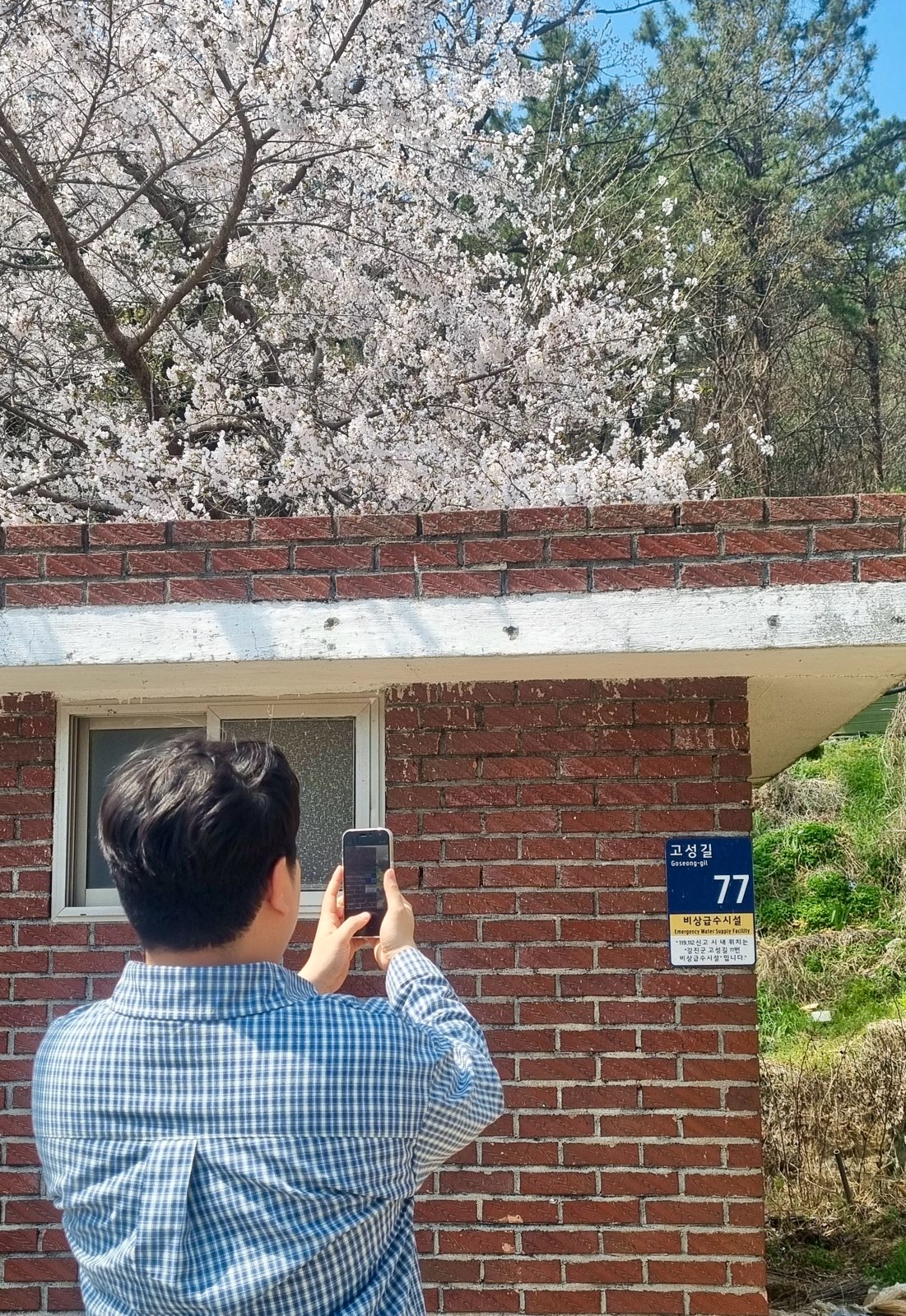 ‘길 찾기 도우미’ 강진군, 주소정보시설 일제 점검