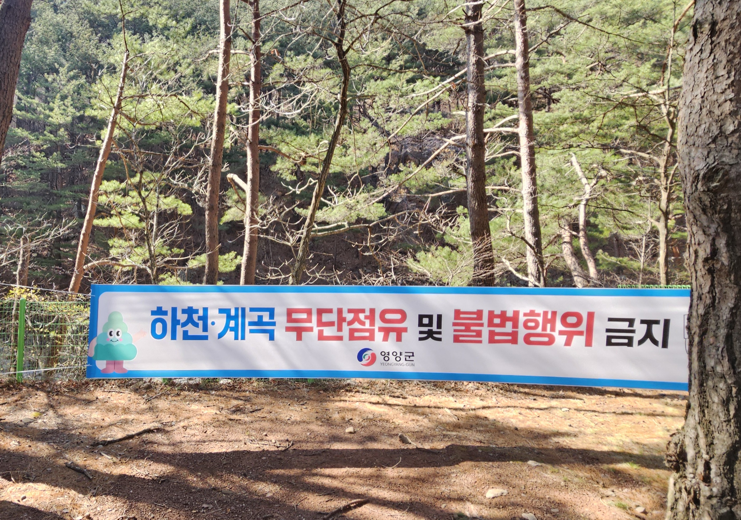 차광인 영양군 부군수, 하천·계곡 불법정비 현장 점검