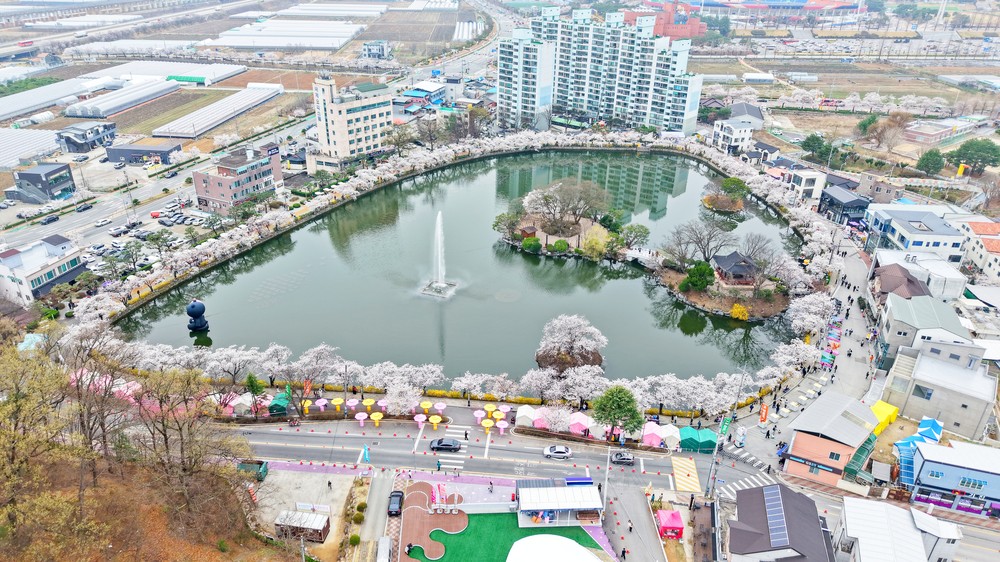 김천은 지금 축제의 색(色)으로 물드는 중