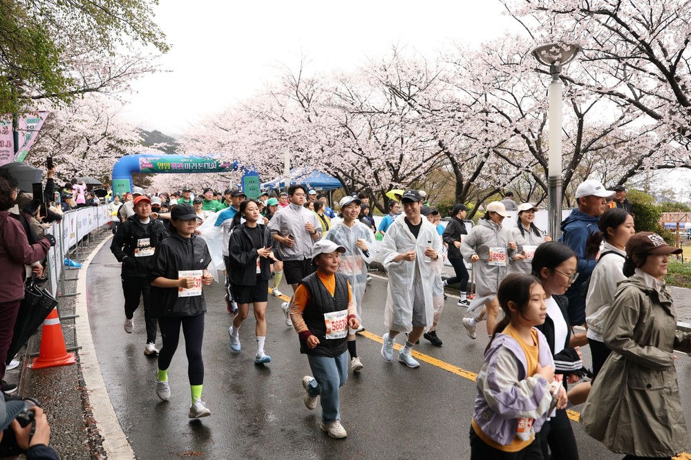 영암군, 왕인문화축제 개막 벚꽃 아래서 봄을 열다
