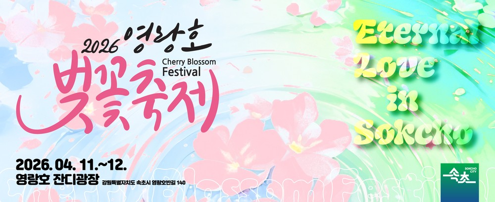 낮과 밤을 잇는 벚꽃의 향연, 속초 영랑호 벚꽃축제 개최