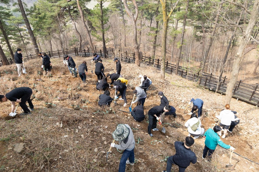 연천군, 제81회 식목일 기념 산철쭉 식재