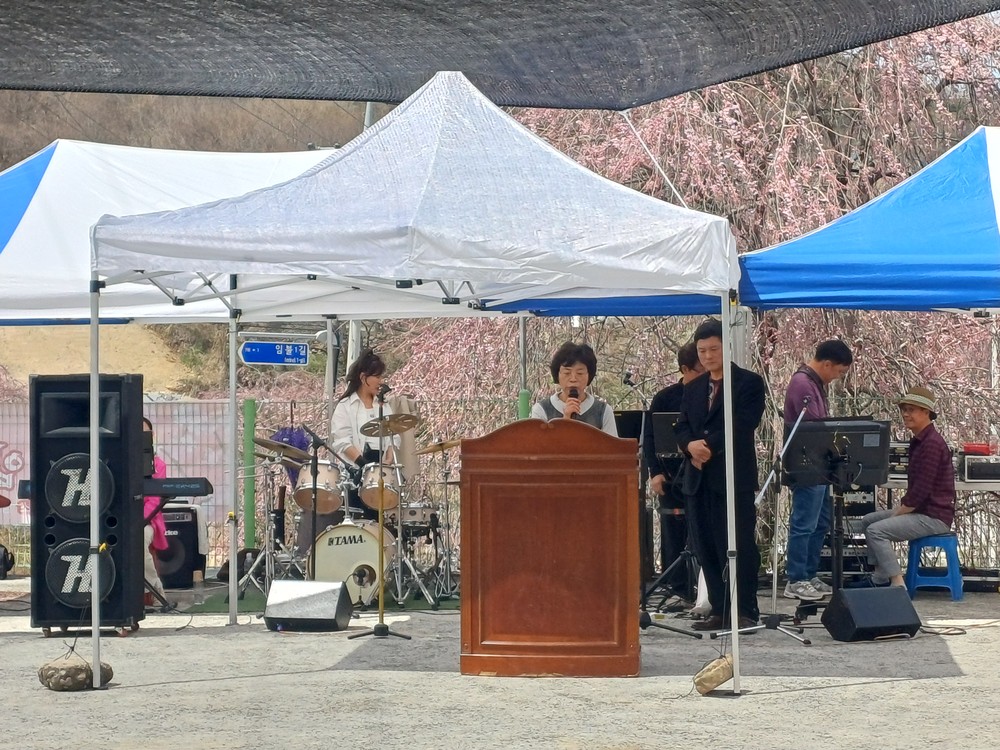 남상면 임불마을, ‘제4회 임불리 능수벚꽃축제’ 개최