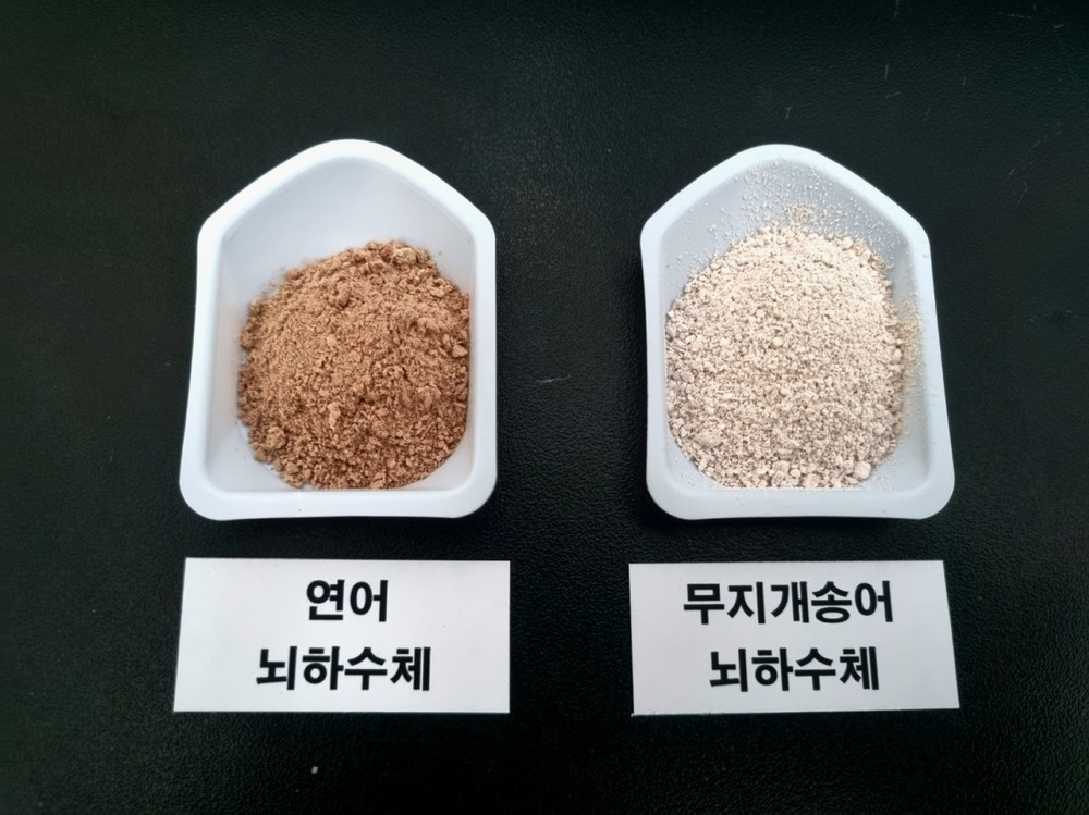 전남해수원, 민물장어 인공종자 생산 연구 확대