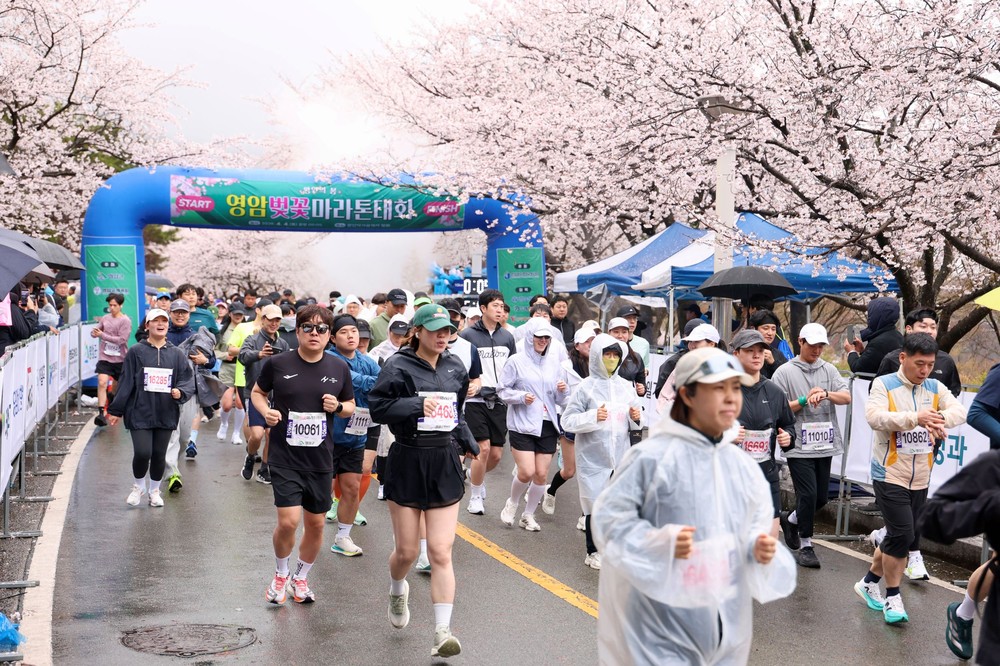 영암 벚꽃마라톤대회 성료 왕인문화축제‘신호탄’쏘아올려