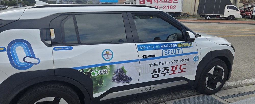 교통약자 이동지원 바우처 택시 운행