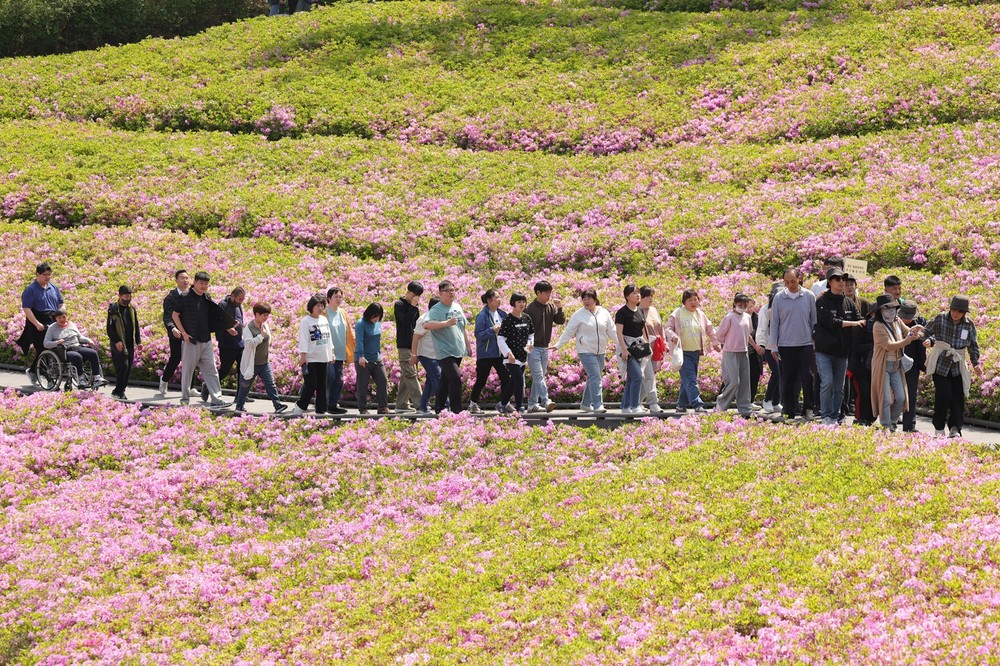 장애인친화도시 노원, ‘장애인의 날’ 기념 다채로운 행사 개최