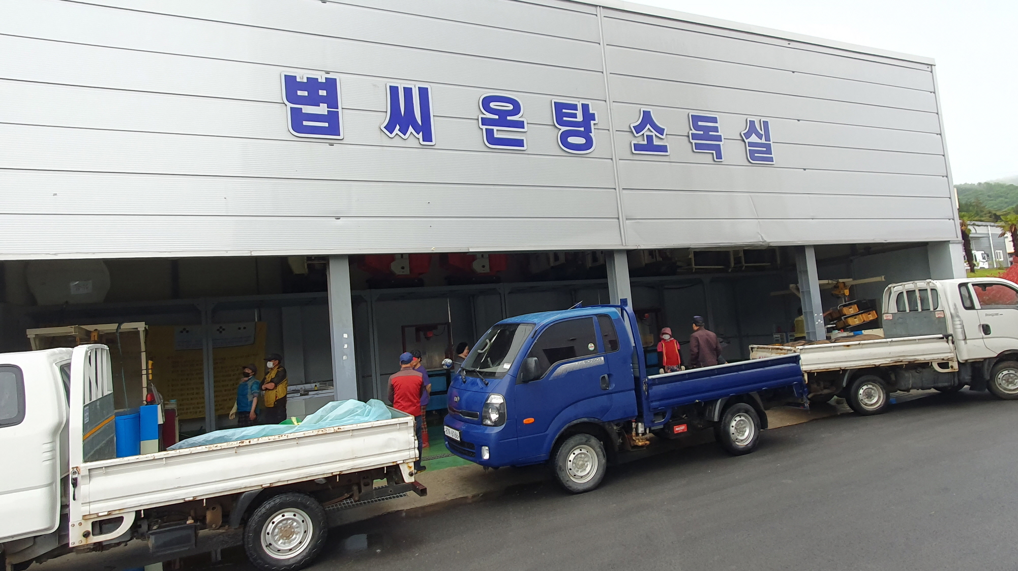 진도군, ‘친환경 온탕소독장 운영’