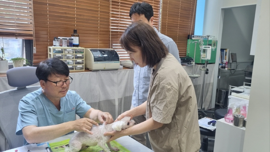 고양시, 2026 상반기 광견병 예방백신 무료 접종 실시