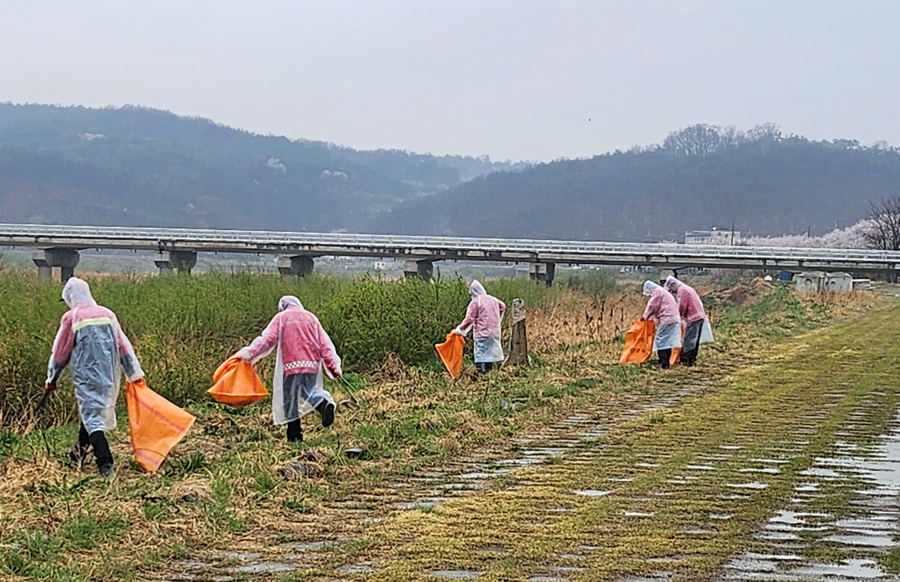 군위읍 산불감시원, 우천 시기 활용해 환경정화 활동 실시