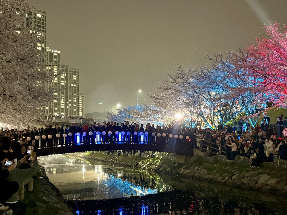 「제6회 구룡마을 벚꽃축제」 큰 호응 속에 개최