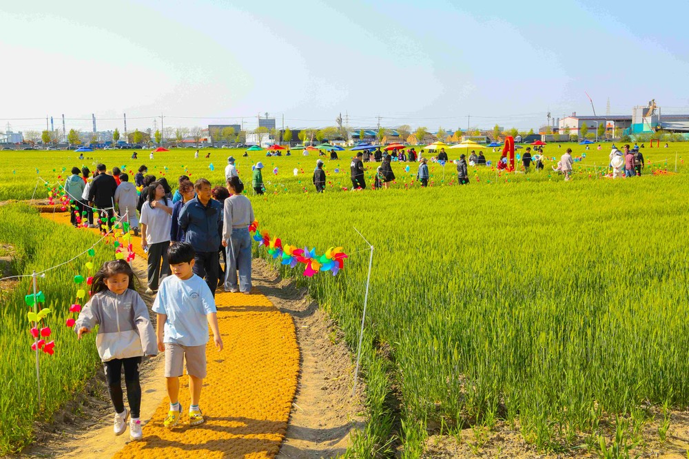 군산꽁당보리축제, 보리랑 봄이랑 21번째 이야기 개최