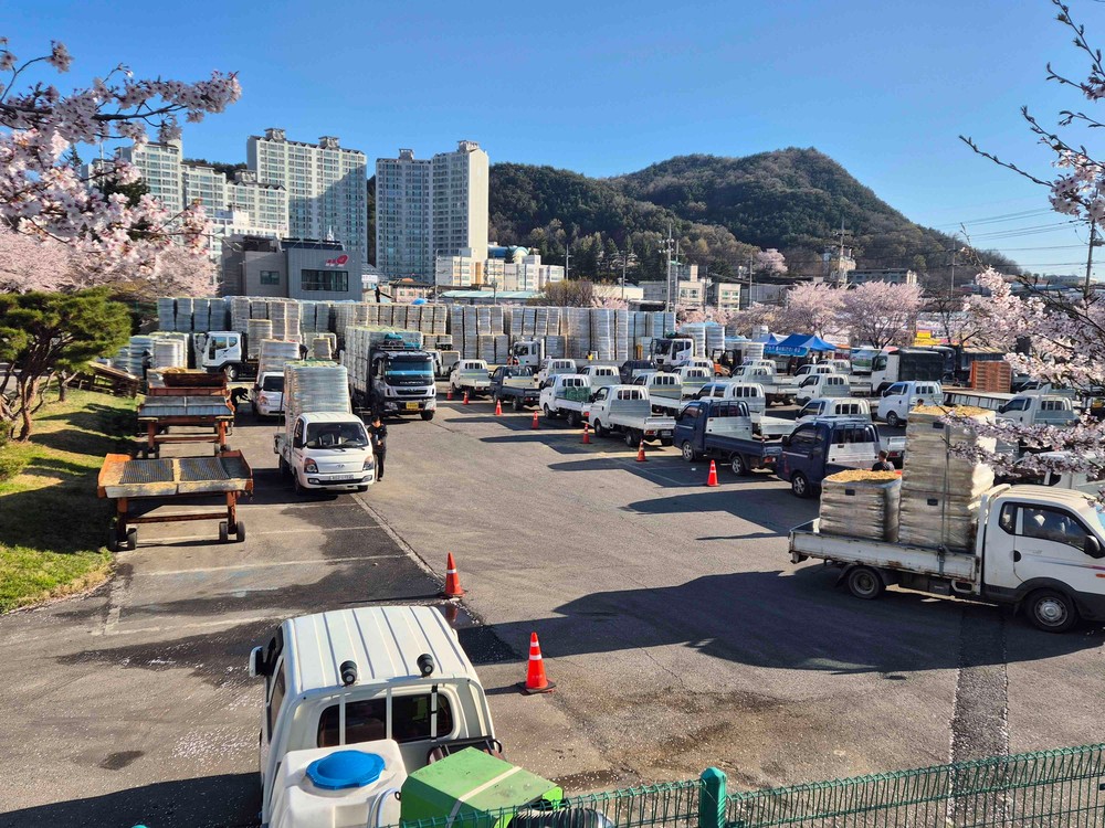 문경시, 상반기 축산농가에 20억 원 상당 풀사료 공급