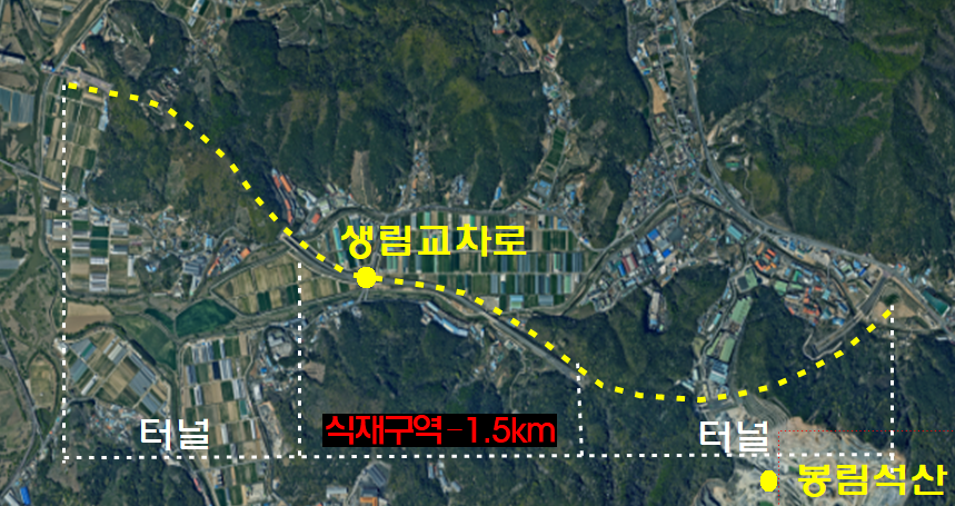 김해시, 낙동강대로 이팝나무 가로수길 조성