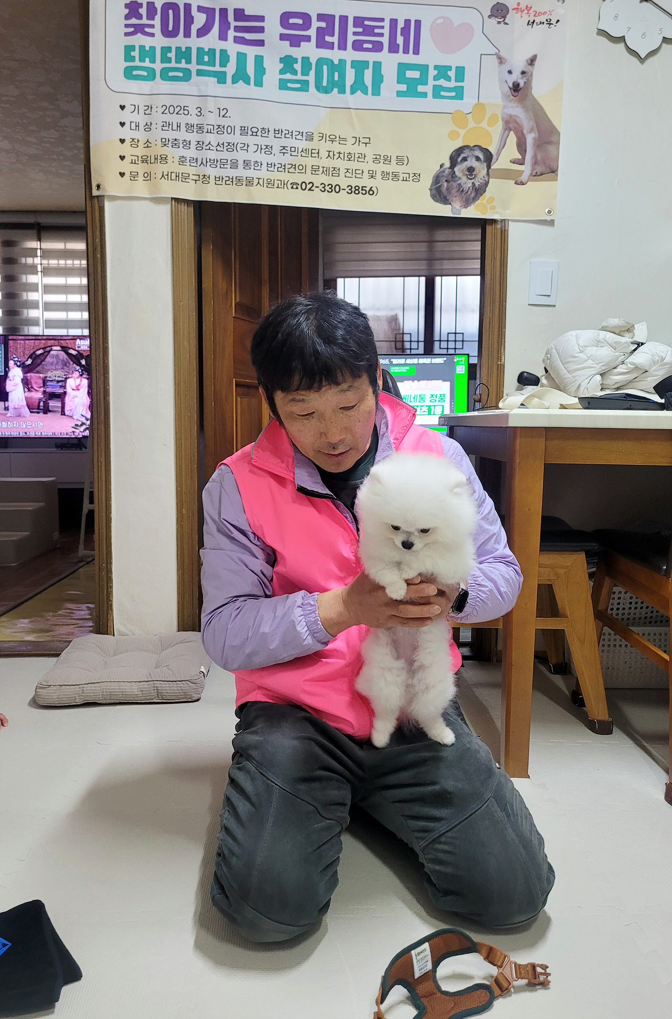 서대문구 '찾아가는 우리동네 반려동물 상담사' 반려견 문제행동 잡는다