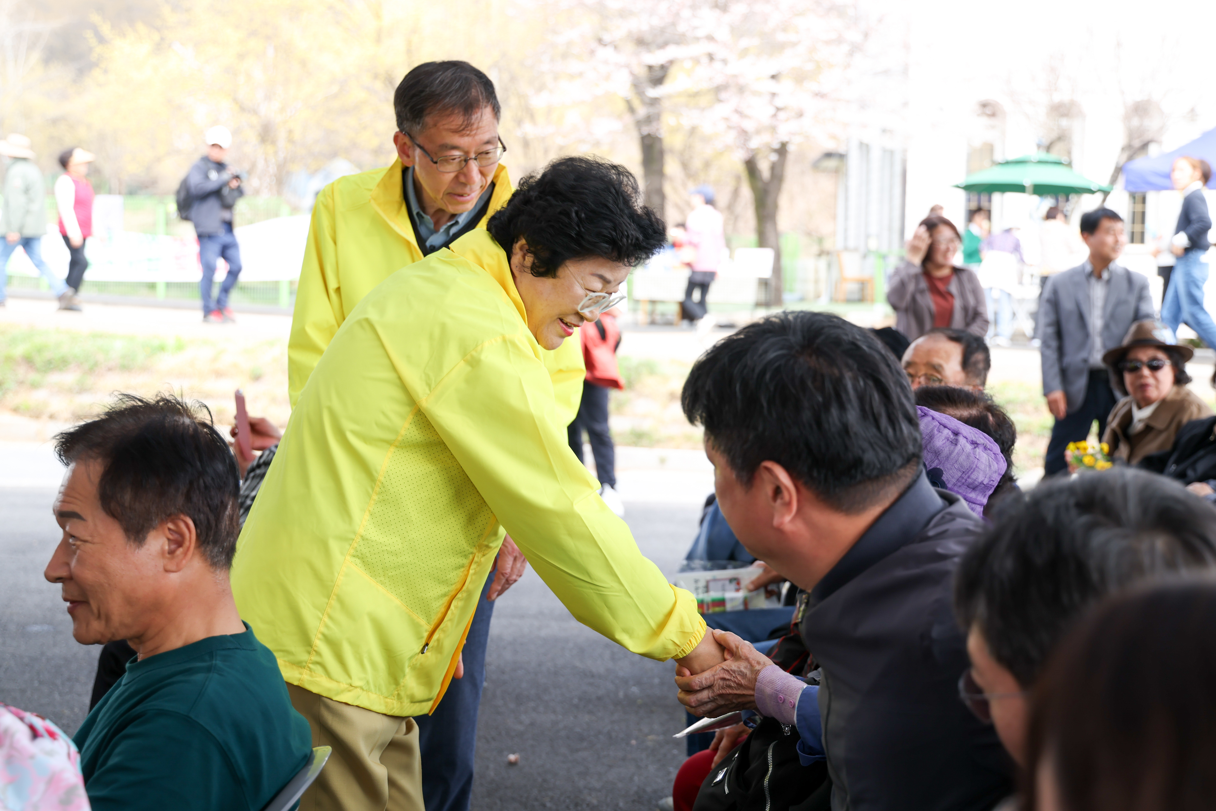 만개한 산수유와 함께한 봄 제27회 이천백사산수유꽃축제 성황리 마무리