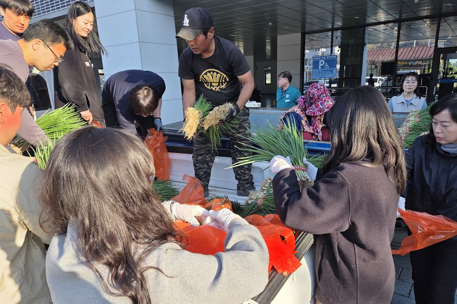 예천군, 가격 폭락 ‘쪽파 농가’ 살리기 총력… 온·오프라인 특별 판매전 개최