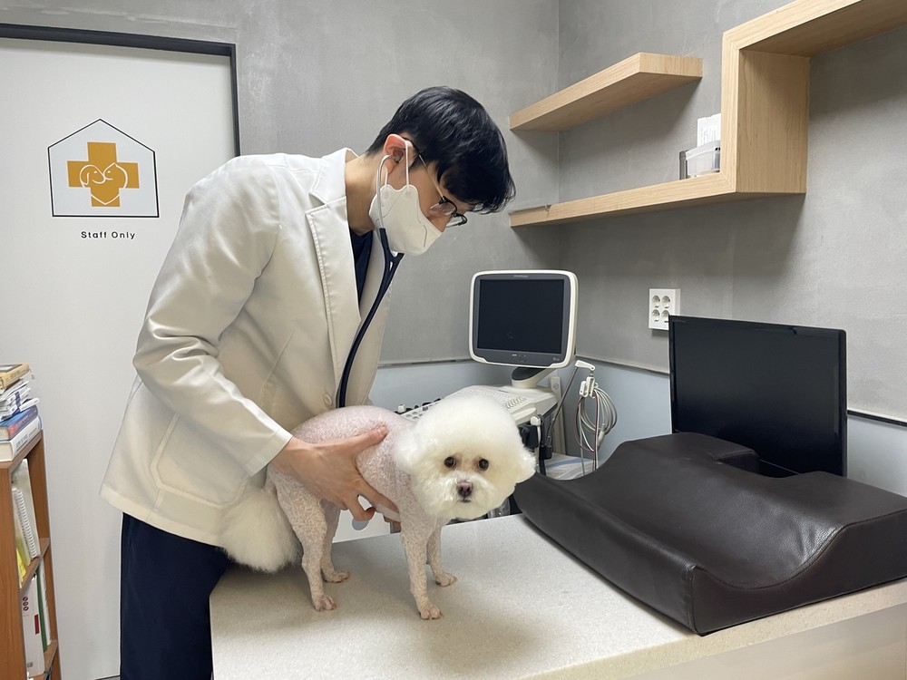 영등포구, 광견병 예방접종 및 취약계층 반려동물 의료비 지원 실시