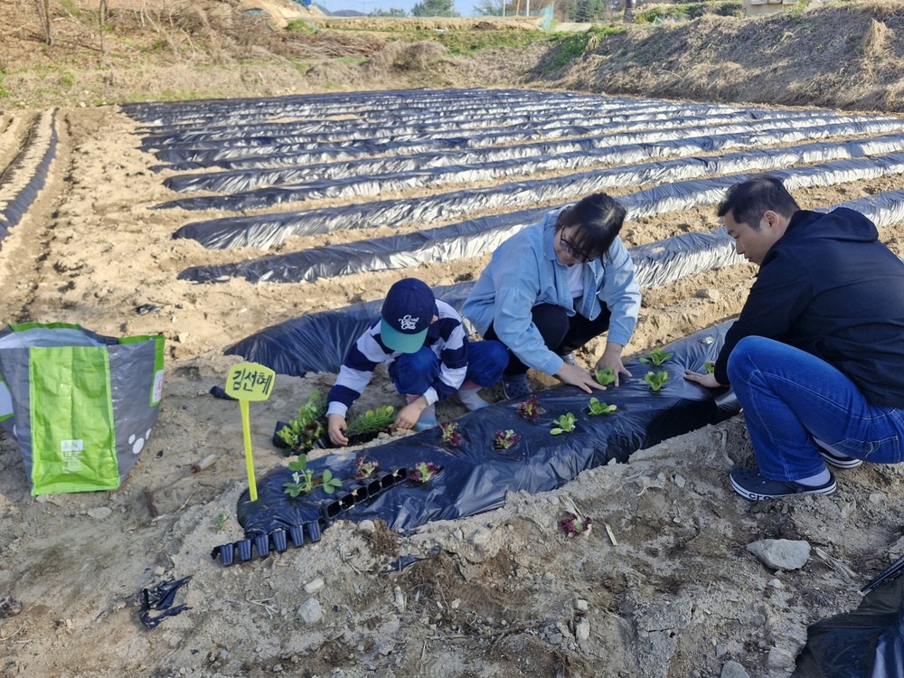 증평 삼보산골마을, “흙 만지고 수확의 기쁨까지”...체험형 주말농장 분양
