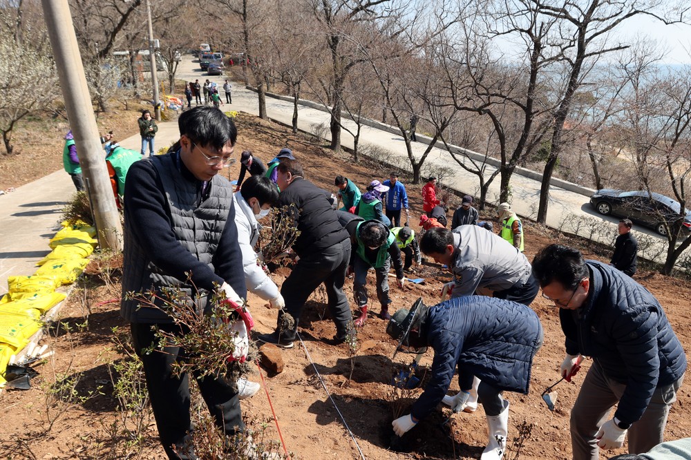 연평면, 대연평 주민과 함께 식목 행사 추진