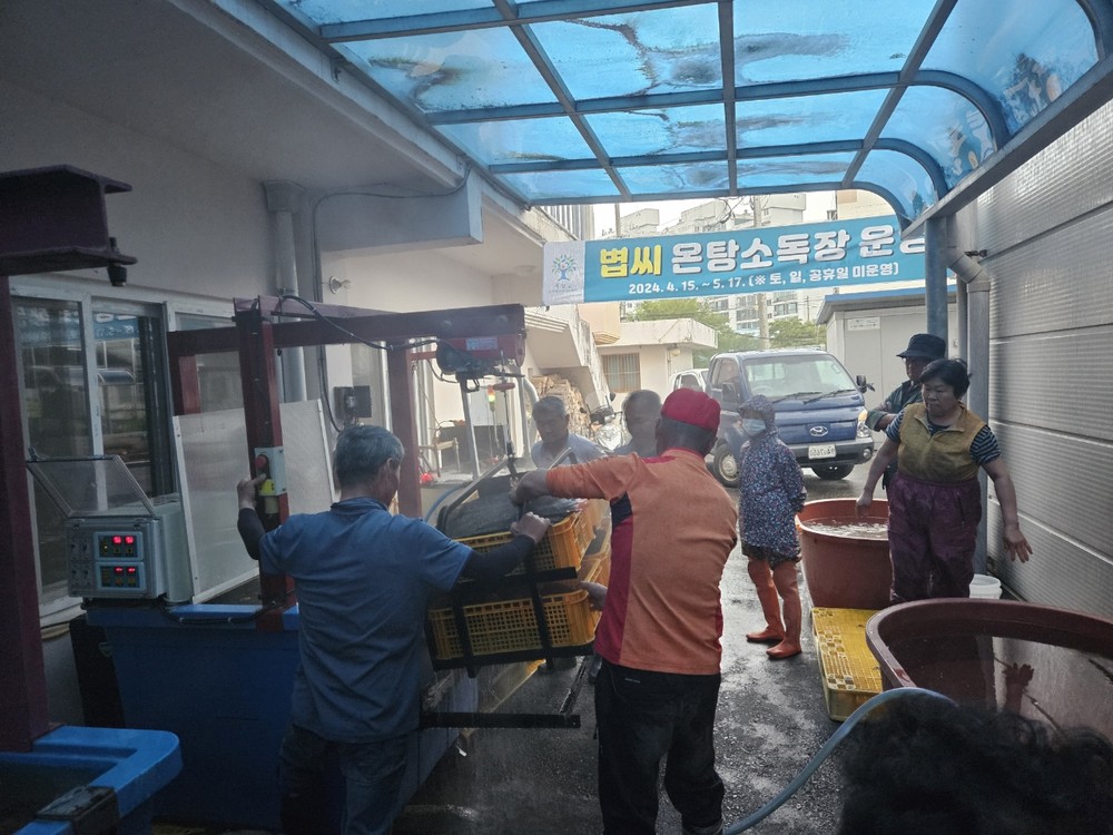 곡성군, 친환경 볍씨 온탕소독으로 벼농사 시작 알려