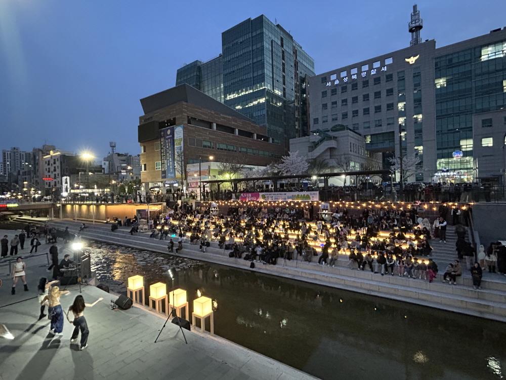 성북천, 낮엔 독서 밤엔 공연… 벚꽃 따라 문화 즐긴다
