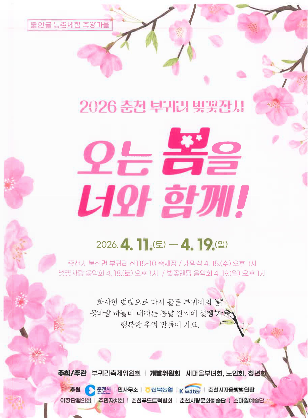 춘천 부귀리 봄 절정… 벚꽃잔치 11일부터 열려