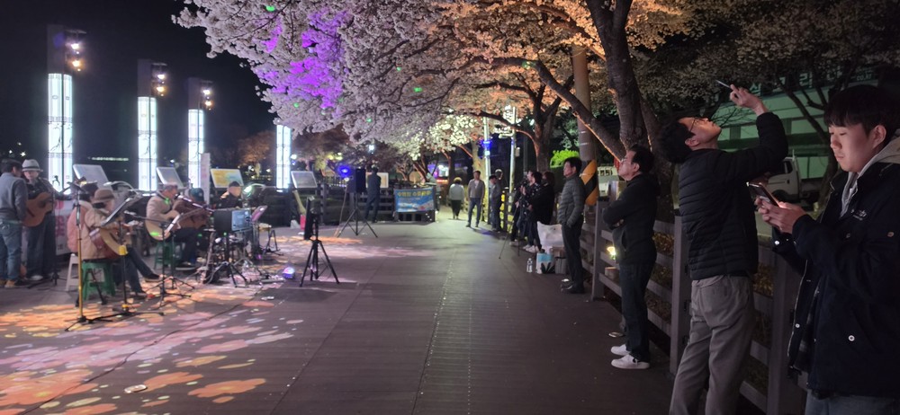 제16회 금산천봄꽃축제, 주민 참여로 긍정적인 반응