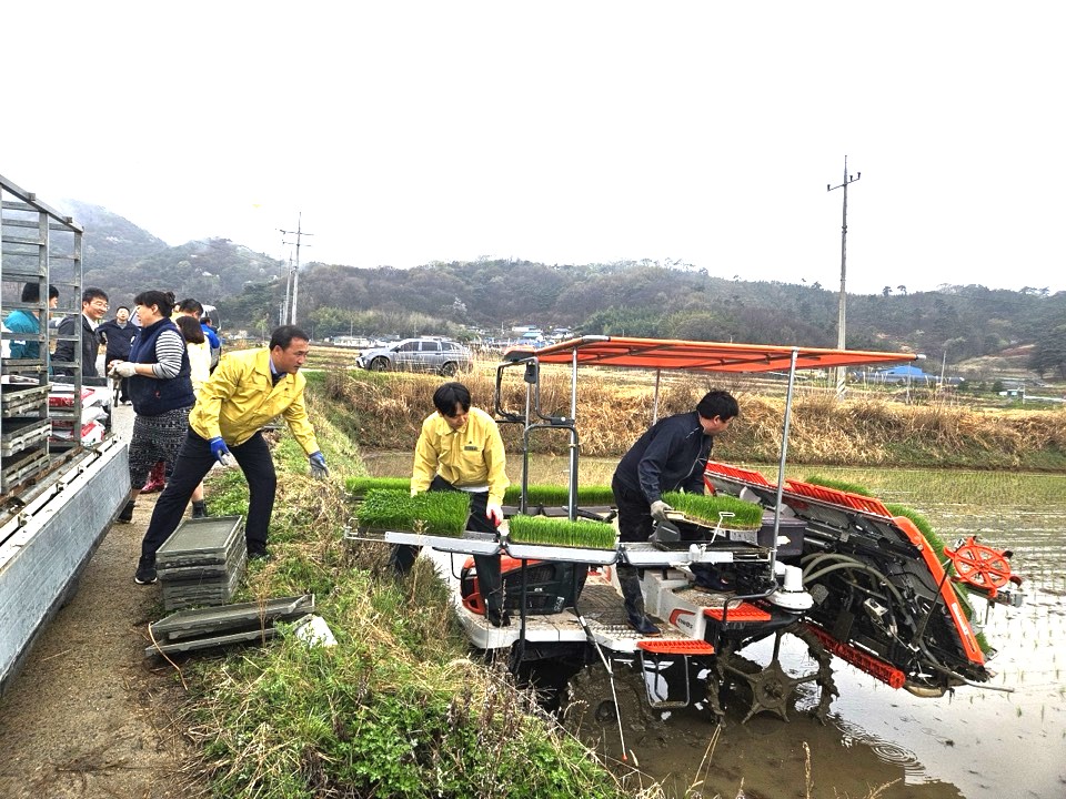 순창군, 풍산면에서 ‘2026년 첫 모내기’ 본격 시작
