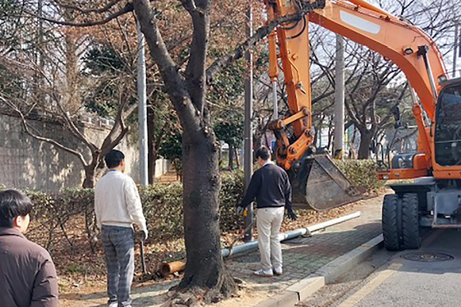 서구, 인도 위 전주·통신주 정비 나선다