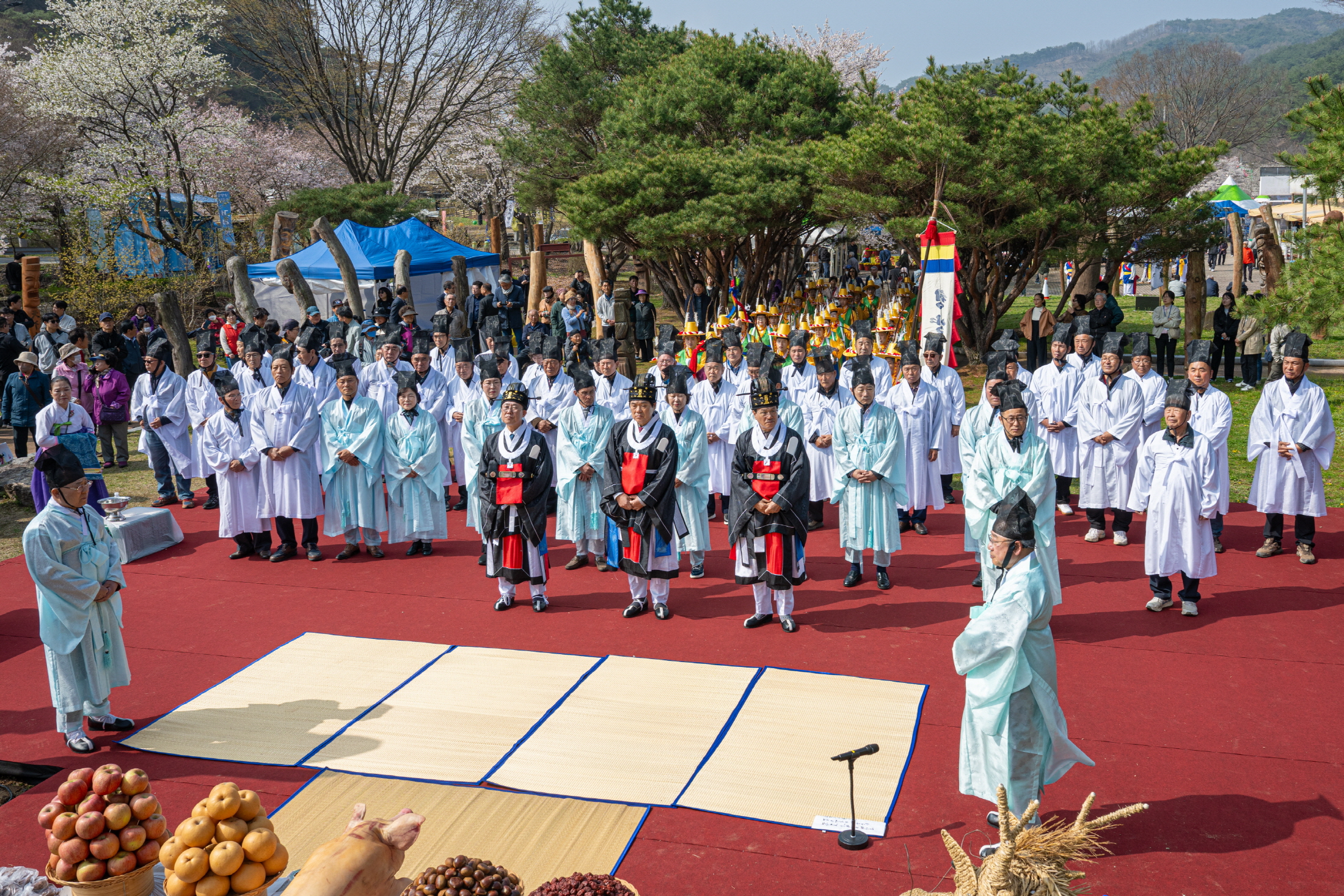 청양군, 제27회 칠갑산 장승축제 ‘벚꽃 인파’ 속 성료