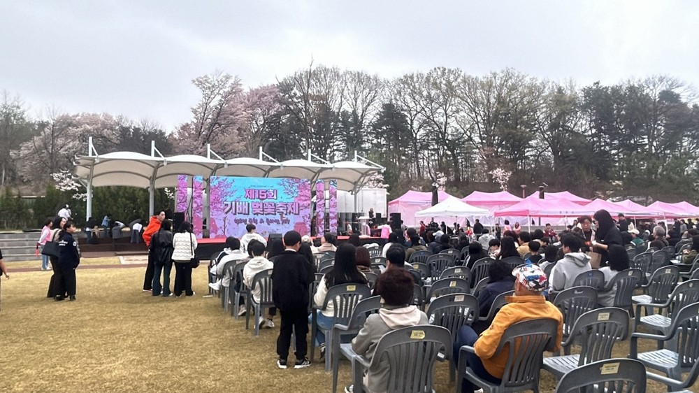 화성특례시 기배동, ‘제15회 기배벚꽃축제’ 성료 900여 시민 ‘핑크빛 동행’