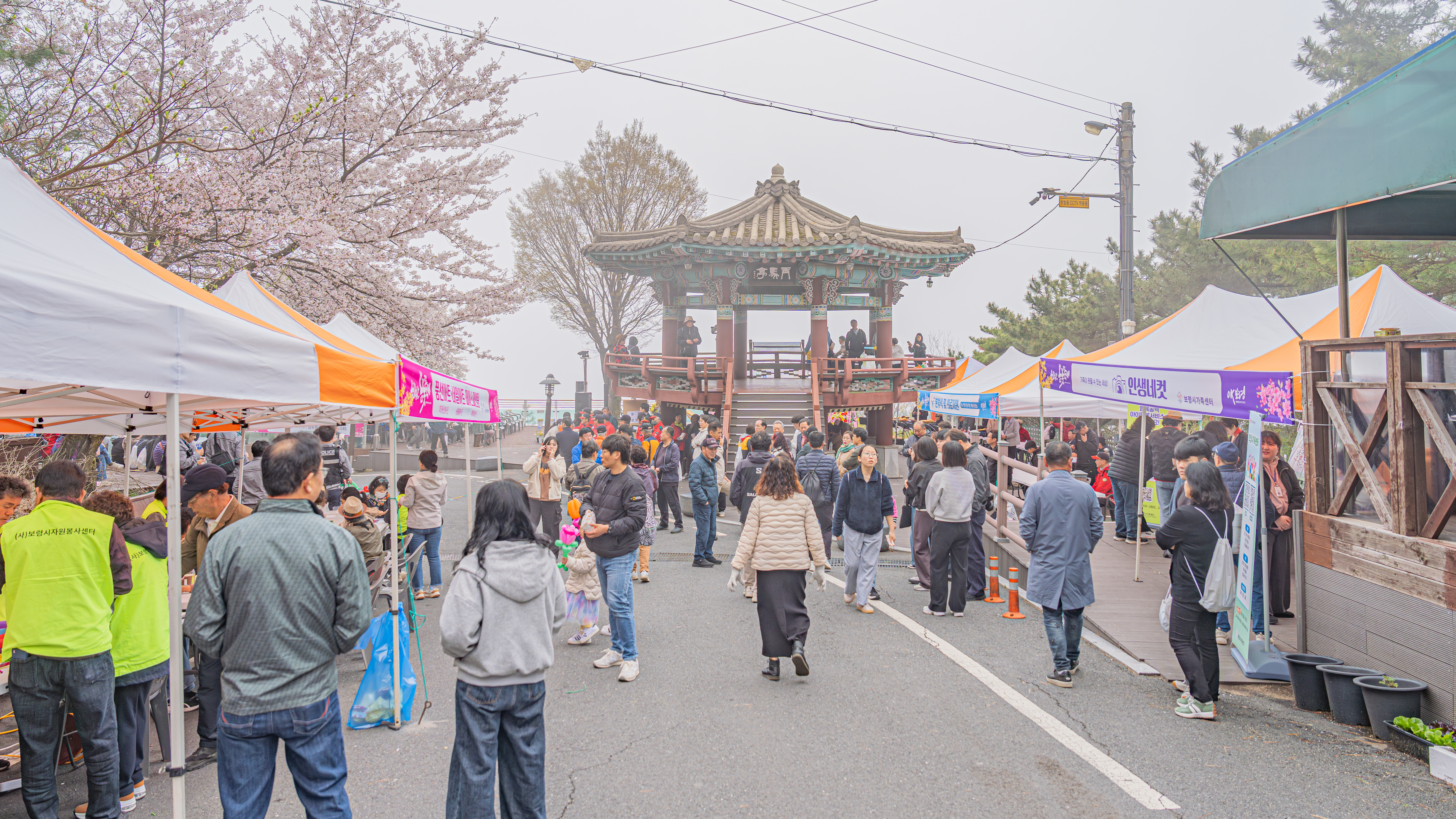 보령시, 옥마산 봄꽃 축제 성황리에 마쳐