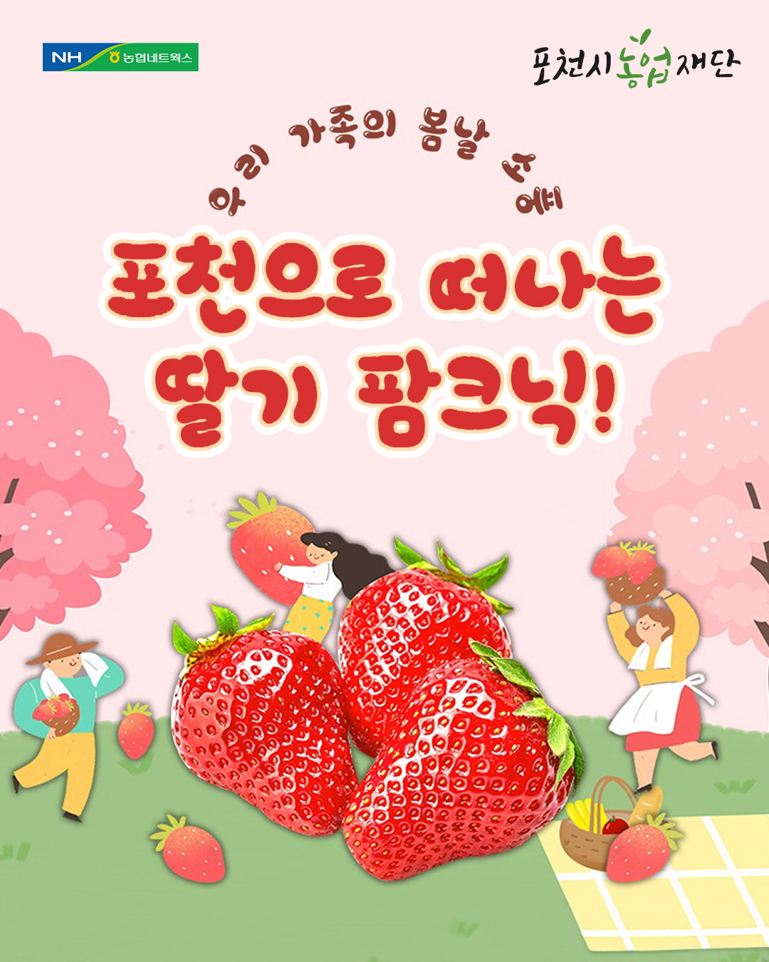 포천시농업재단, ‘포천으로 떠나는 딸기 팜크닉’ 성황리 운영